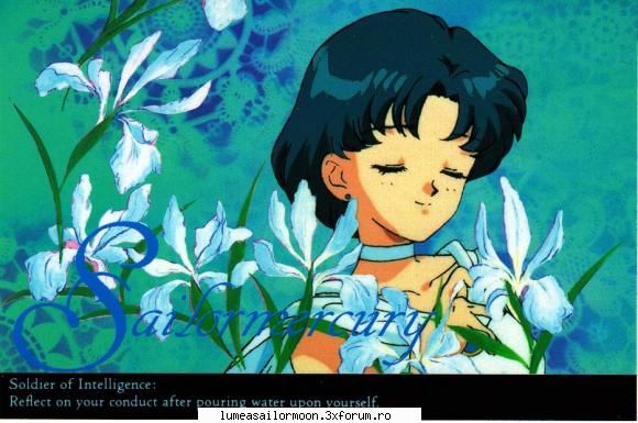 ea printesa ami sailor mercury